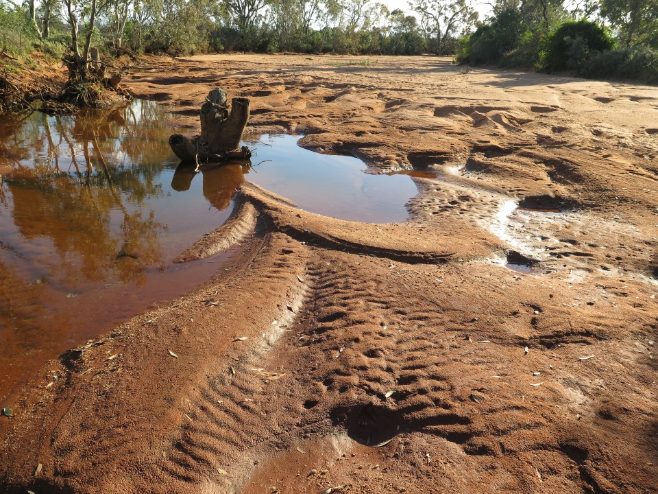 Yancowinna Creek dry creekbed, near Broken Hill